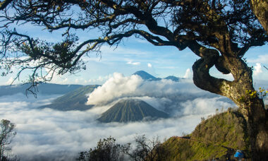 Open pods increasing in popularity: Indonesia market report