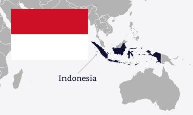 Indonesia: market snapshot, November 2024