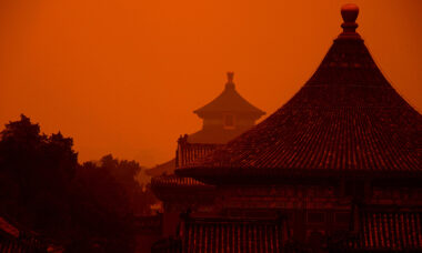 Online sales dominate: China market report