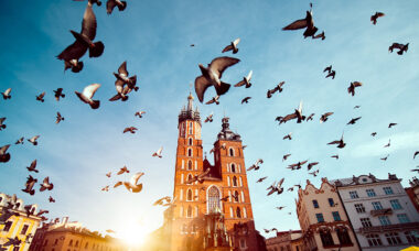 Polish poll shows under-24s use e-cigs more often; smoking prevalence falls