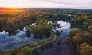 First state to ban flavoured nicotine e-cigs: Michigan regulatory report