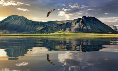 Regulatory report: New Zealand, regulations to be tightened