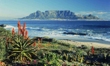 South Africa plans to bring in new e-cigarette tax scheme from 2021