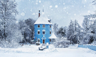 Regulatory report: Finland, May 2020