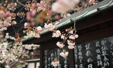 Regulatory report: Japan, May 2021