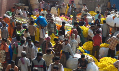 Eight months in, what lessons might be learned from India's e-cig ban?