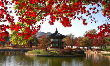 Market report: South Korea – times of change