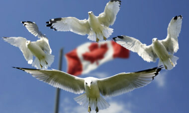 Canadian businesses adapt to federal restrictions on vaping advertising