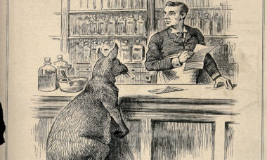 Australian pharmacists ready to take up central role in e-cigarette distribution