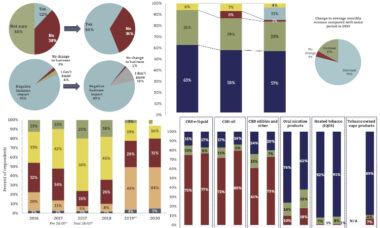 US vape stores survey, 2020 – impact analysis and outlook