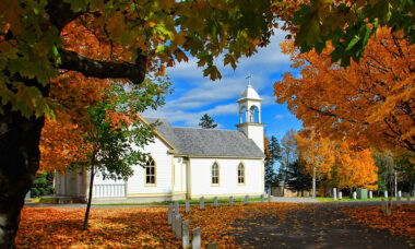 Bid to ban flavours in New Brunswick raises hackles in Canadian vape trade