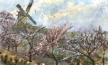 'Incomprehensible and deadly': store owners' verdict on Dutch flavour ban