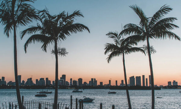 Florida brings in vape store permits while denying right to local regulation