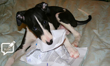 ‘Significant progress’ – but the US FDA’s biggest decisions are still to come