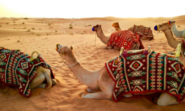 Market report: the UAE and Saudi Arabia – market comparison and future trends