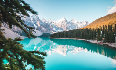 Market report: nicotine cap disrupts market trends in Canada