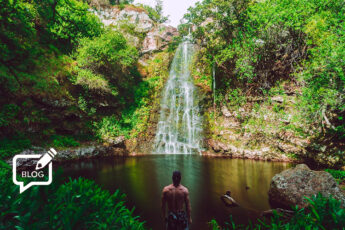 Trouble in paradise: accusations fly in Hawaiian battle over flavour ban plan