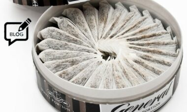 Is PMI shifting focus from vaping to other smoke-free alternatives?