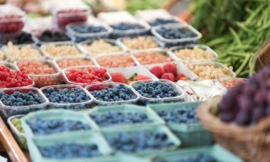 Dutch health and environment body wants ban on flavours, including tobacco