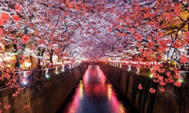 Japan: e-cigarette regulation, September 2022