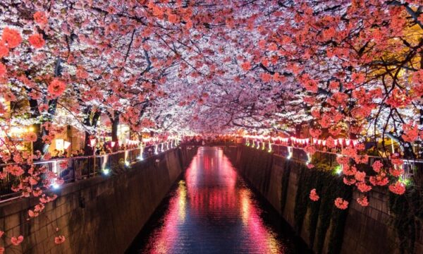 Japan: e-cigarette regulation, September 2022