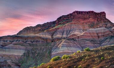 US: the e-cigarette market – consumer survey report, October 2022