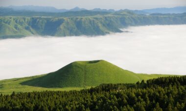 Japan: the e-cigarette market, November 2022