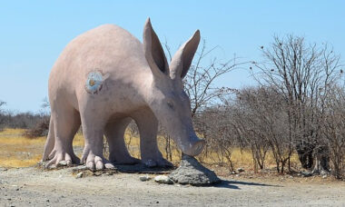 Botswana’s ‘life-saving’ coming tobacco rules will leave e-cigarettes unaffected