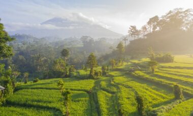 Indonesia: e-cigarette regulation, January 2023