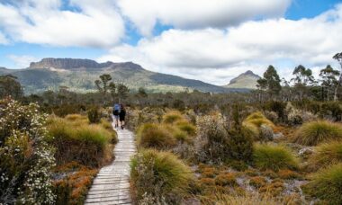Health professionals call on Australian government to tighten vaping rules