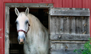 FDA’s new standards could be too costly and too late for smaller manufacturers