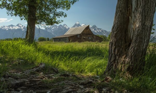 Disposable e-cigarettes in the US: state-by-state look at proposed bills