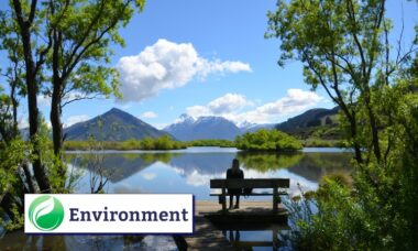 New Zealand tightens restrictions on batteries, nicotine caps, and retailers