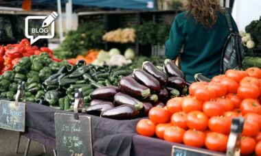 Looking into nicotine – a tobacco-related poison or a food-derived health aid?