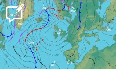 Keeping track of the disposables scene: how will it weather the regulatory storm?