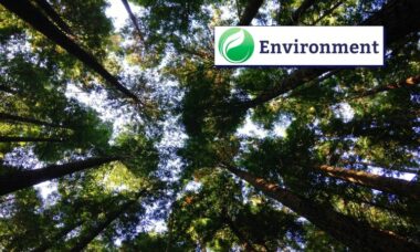 US federal environmental proposals that will have an impact on e-cigarettes