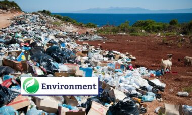 EU sustainability proposals: analysis of the most important legal moves of 2023