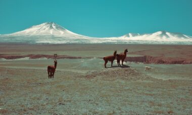 Chile: e-cigarette regulation, January 2024