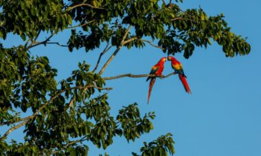 Costa Rica: e-cigarette regulation, January 2024