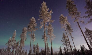 Finland: e-cigarette regulation, January 2024