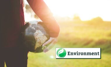 Environmental management round-up: new approaches across the globe