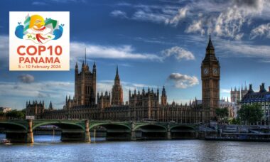 UK parliament debate emphasises harm reduction and critiques the WHO’s stance