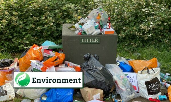 UK’s plan to ban disposables aims to stem ‘growing stream of hard-to-recycle waste’