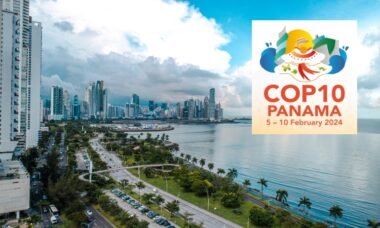 Leaders in Latin American vape sector fear further e-cig restrictions at COP10