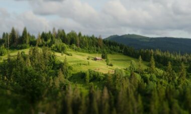 Ukraine’s growing illicit tobacco market sparks calls for end to flavoured e-cig ban