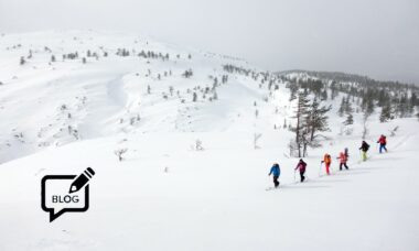 Can e-cig use among young Finns be determined by a circle of friends metric?