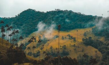 Colombia regulates e-cigarettes for first time to keep in step with growing usage