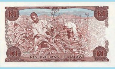 Malawi’s burgeoning vape market faces challenges amid low-cost tobacco culture