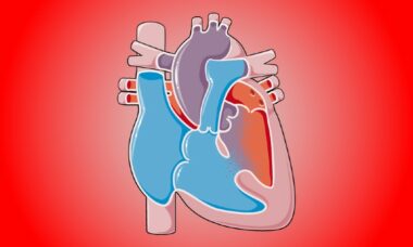 Vaping may disrupt normal heart function, California study finds