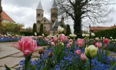 Denmark: e-cigarette regulation, October 2024